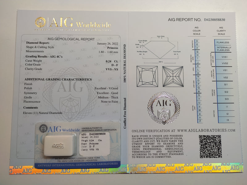 Princess D - F Color Diamond 0.24 Carat - AIG Certified