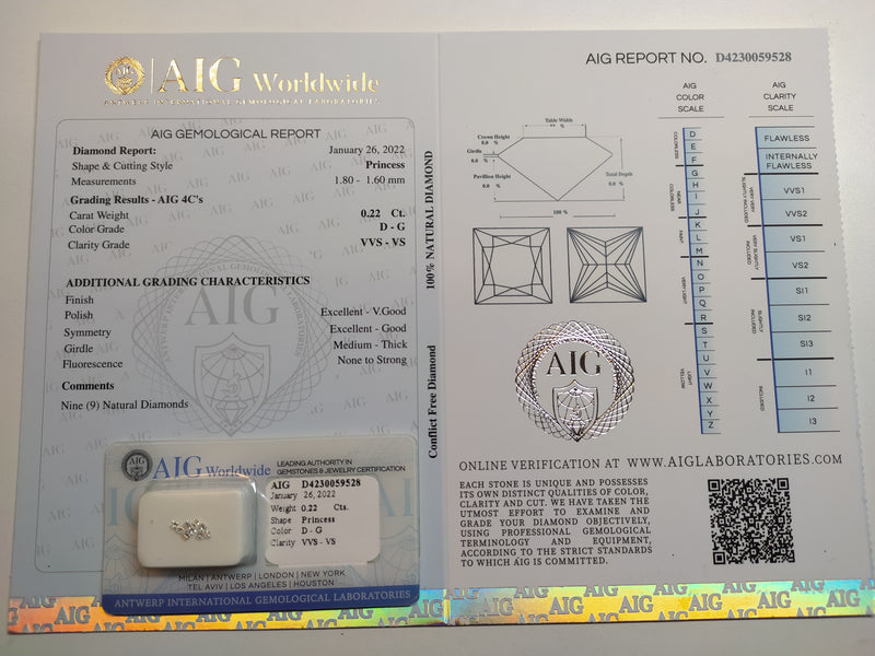 Princess D - G Color Diamond 0.22 Carat - AIG Certified
