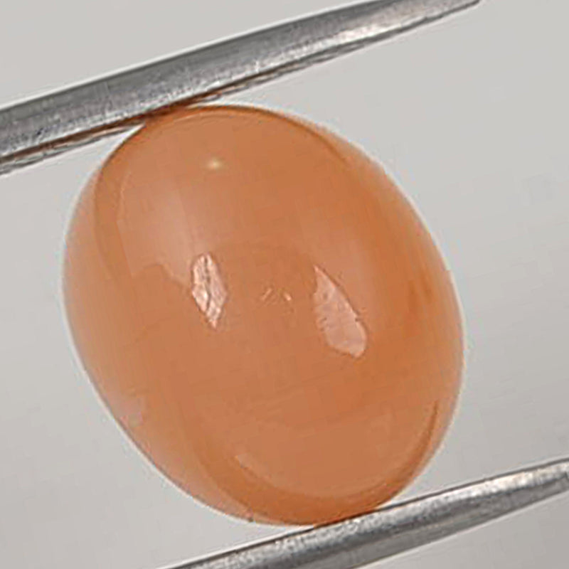 8.3 Carat Orange Color Oval Moonstone Gemstone