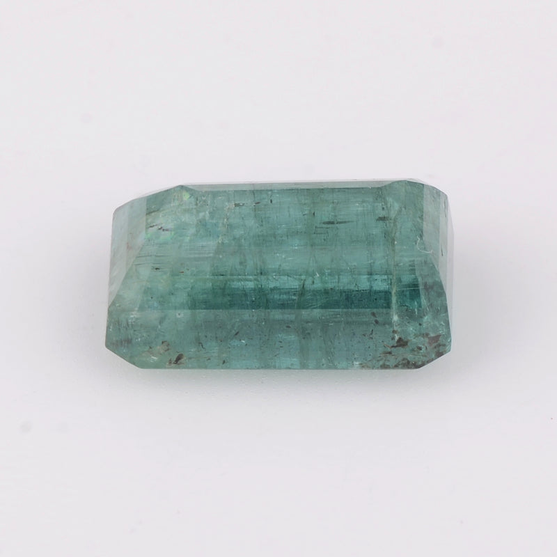 1 pcs Emerald  - 9.72 ct - Octagon - Green - Transparent