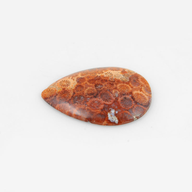 17.4 Carat Red Color Pear Fossil Coral Gemstone