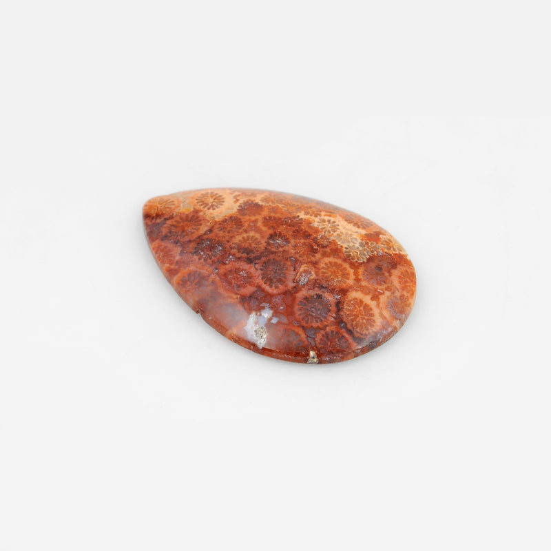 17.4 Carat Red Color Pear Fossil Coral Gemstone