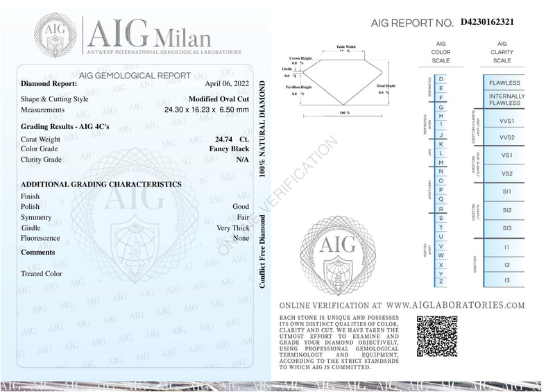 Oval Fancy Black Color Diamond 24.74 Carat - AIG Certified