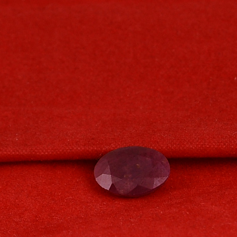 1 pcs Ruby  - 1.9 ct - Oval - Red