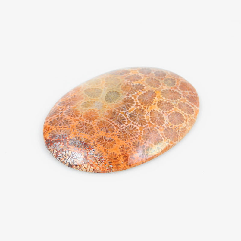 42 Carat Red Color Oval Fossil Coral Gemstone