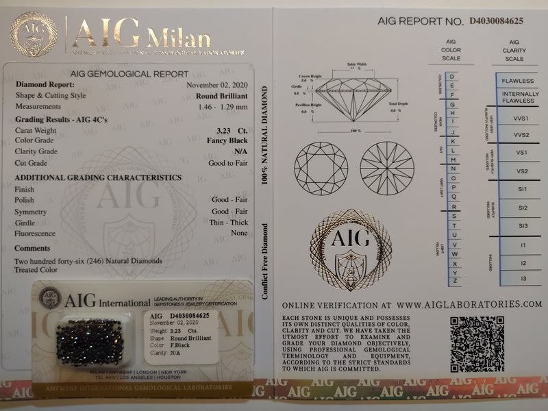 3.23 Carat Brilliant Round Fancy Black Diamonds-AIG Certified
