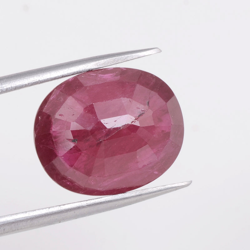1 pcs Ruby  - 5.86 ct - Oval - Red - Transparent