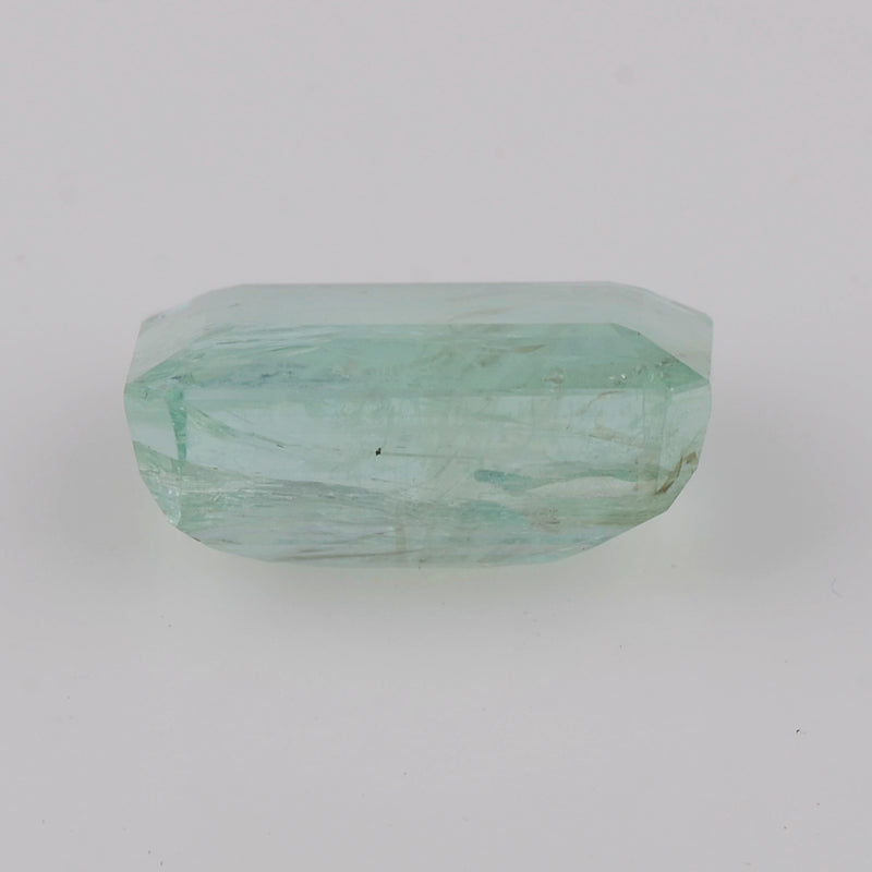 1 pcs Emerald  - 13.03 ct - Octagon - Light Green - Transparent