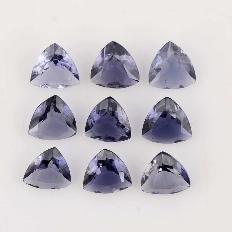 9 pcs Iolite  - 6.5 ct - Trillion - Dark Blue