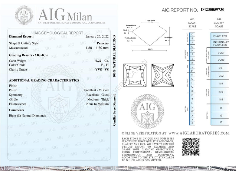 Princess E - H Color Diamond 0.22 Carat - AIG Certified